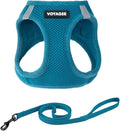 Voyager Step-in Pet Harness - All Weather Mesh, Adjustable Step in Harness for Cats and Dogs by Best Pet Supplies - 307S Turquoise, M