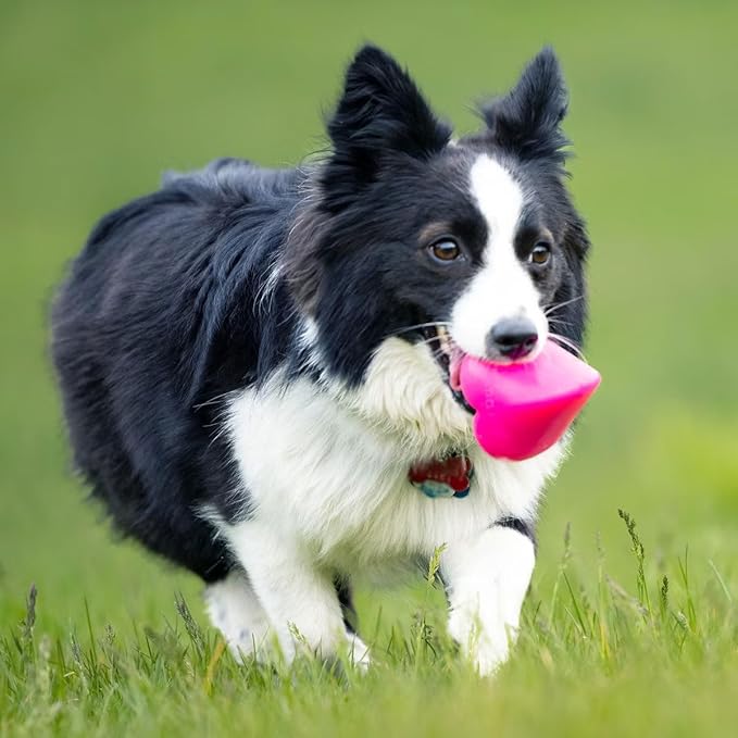 Ruff Dawg Dawg-Hart – Heart Shaped Rubber Toy – Floating & Bouncing Fetch Toy for Aggressive Chewers – Interactive & Fun – Neon Colors for Outdoor Play