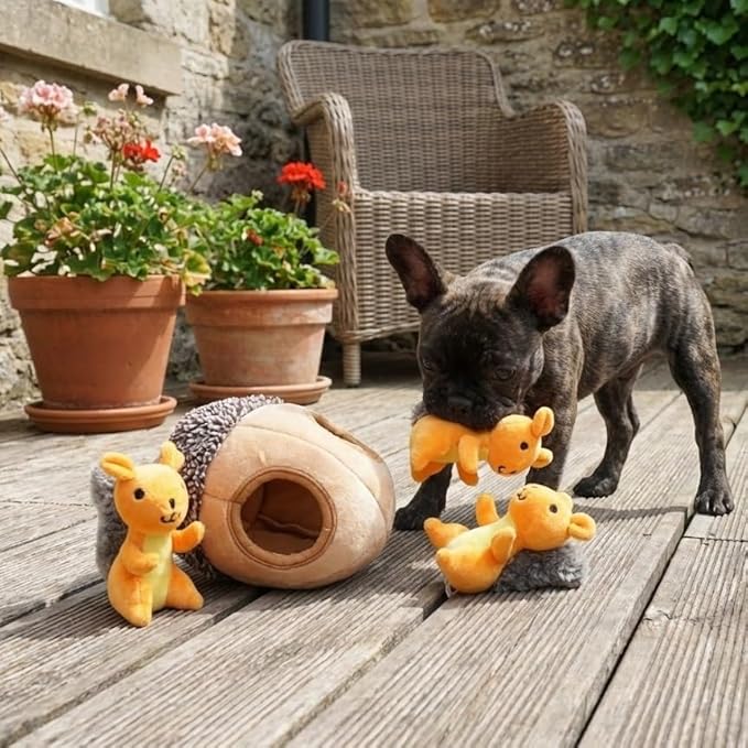 MODERN WAVE - Interactive Squeaky Plush Hide and Seek Squirrel Type Puzzle Toy for Dogs, Medium Size (Nut and Squirrels)
