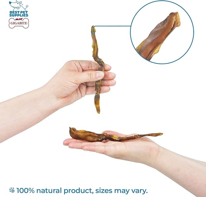 Best Pet Supplies GigaBite Roasted Pig Ears for Dogs - Natural Dog Chews, Roasted Pigs Ears, Safe for Puppies and Aggressive Chewers, Cleans Teeth and Gums - Premium Slivers, 1.8 Pounds