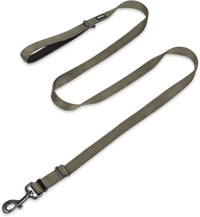 Hyhug Pets Premium Upgraded Adjustable Between 4 Feet and 6 Feet Leash with Sturdy Nylon and Super Soft Neoprene Lined Handle for Small Medium Large Dogs Lead