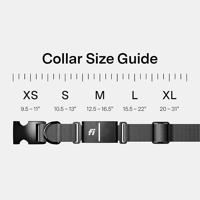 New Fi Series 3+ Smart Dog Tracker Collar [12 Month Membership Included] GPS Tracker for Dogs with Health & Behavior Monitoring, Escape Alerts, Waterproof, LED, Apple Watch Compatible (Gray, Small)