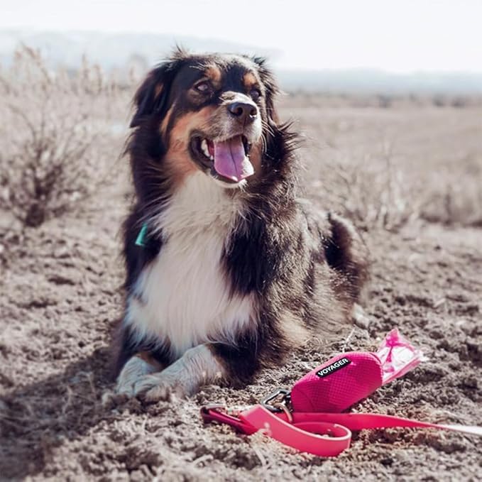 Best Pet Supplies Dog Poop Bag Holder Leash Attachment with 15 Bags, Fuchsia, Reusable Mesh Dispenser Pouch for Travel, Walking, Park, and Outdoor Use, Soft and Durable with Clip-On