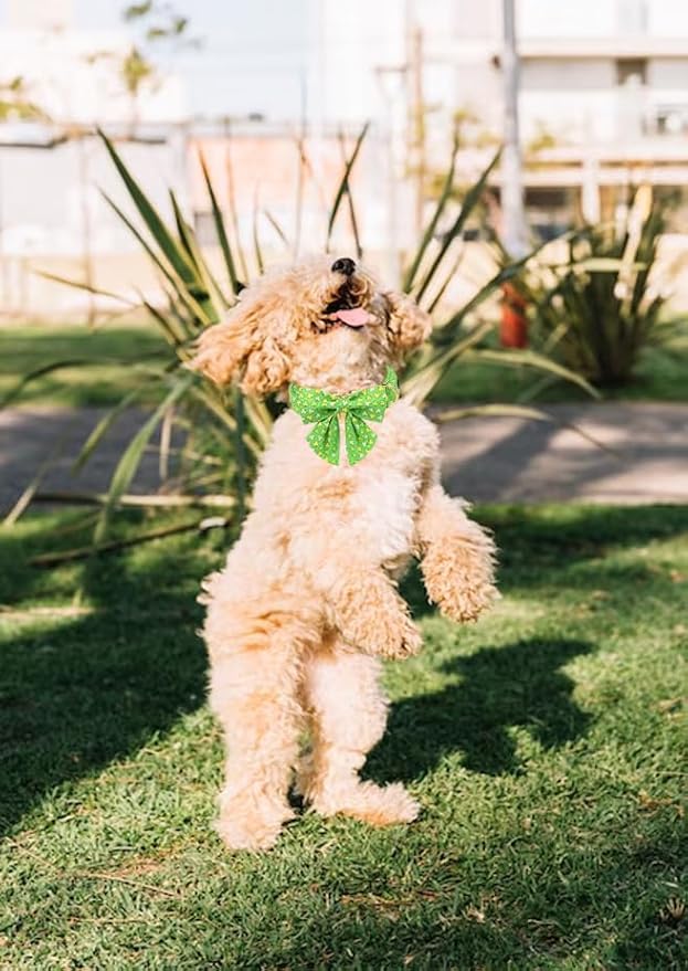 Unique style paws St. Patrick's Day Dog Bandana Clover Bandanas with Flower for Small Medium Large Boys Girls Dogs