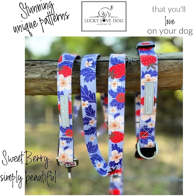 Lucky Love Dog Martingale Collar and Leash Set, Premium Fun Girl No Slip Collars, Strawberry Martingale Dog Collar and Leash Set, Great for Whippets, Greyhounds, and More (Sweet Berry, Large - Combo)