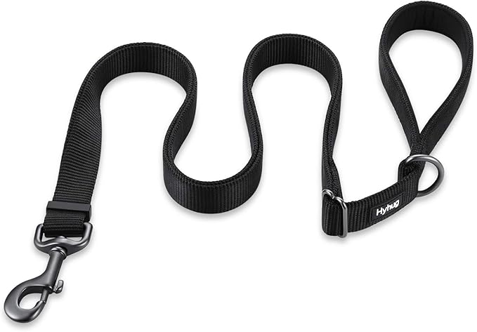 Hyhug Nylon Adjustable 4-6ft Dog Leash with Soft Neoprene Padded Handle, Durable Heavy Duty Leash with Easy-to-Use Bolt Snap, Ideal for Jogging Outdoor
