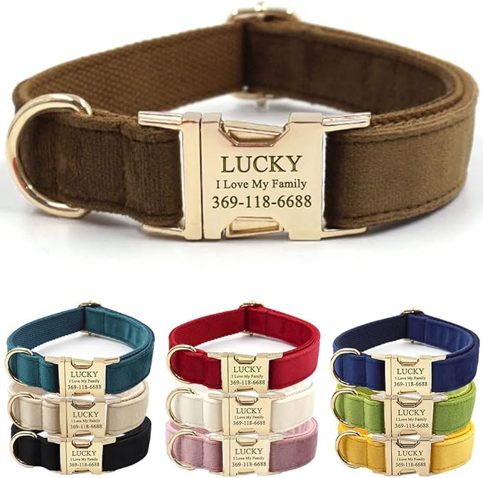 PETDURO Custom Dog Collar Personalized with Name Engraved Quick Release Gold Metal Buckle for Large Medium Small Girl Dogs - Dog Leash and Bow Tie Available - Soft Comfy Velvet (Brown G, S)