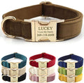 PETDURO Custom Dog Collar Personalized with Name Engraved Quick Release Gold Metal Buckle for Large Medium Small Girl Dogs - Dog Leash and Bow Tie Available - Soft Comfy Velvet (Brown G, S)