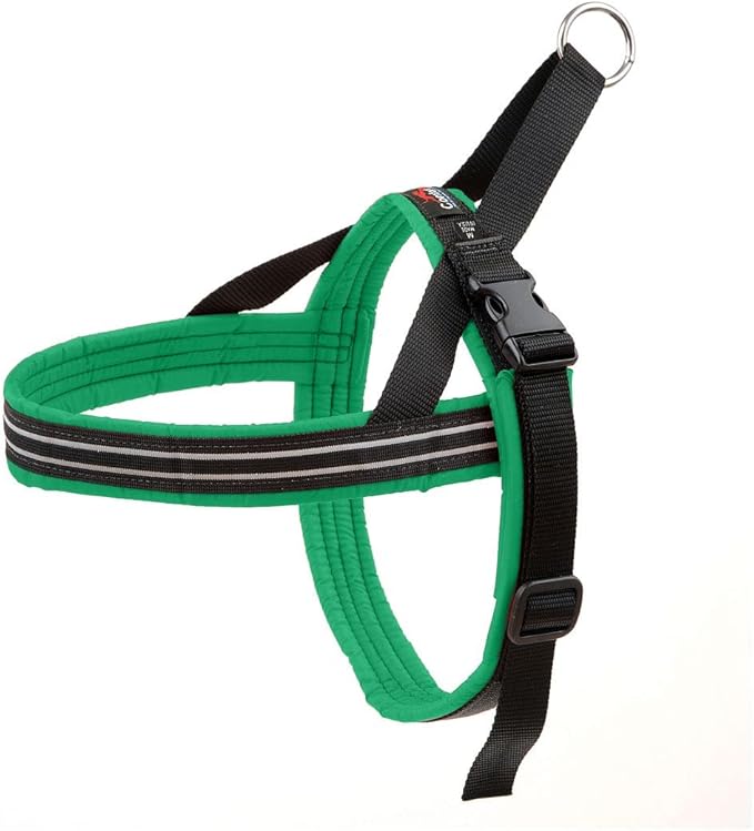 ComfortFlex Sport Dog Harness – No-Choke, Fully Padded, Non-Chafing Harness with Control Handle – Reflective, Lightweight, Adjustable for Active Dogs - Small, Kelly Green