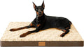 Patas Lague Orthopedic Jumbo Dog Bed for Extra Large Dogs 56''X40'', Waterproof Soft Warm Comfortable Egg Crate Foam Jumbo Pet Beds Mat with Removable Washable Cover and Nonskid Bottom, Brown