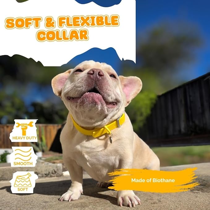 Waterproof Dog Collar, Soft Comfortable Pet Collars, Adjustable Odor Proof Heavy Duty Dog Collars Easy to Clean for Large, Medium Small Dogs by Bee N Buu (Yellow, Medium (length12-16, Width 3/4"))