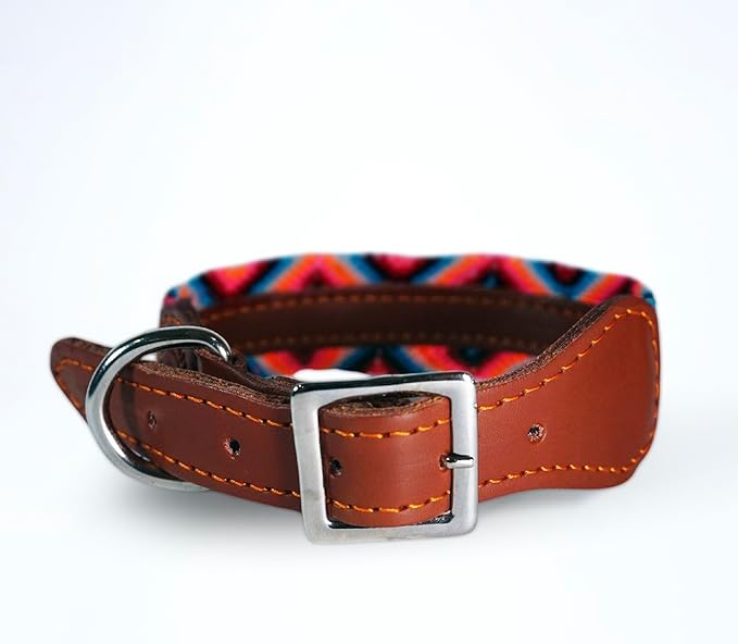 Eternia Premium Leather Dog Collar - Adjustable Handcrafted Collar for Small to Large Dogs (Orange/Blue, S)