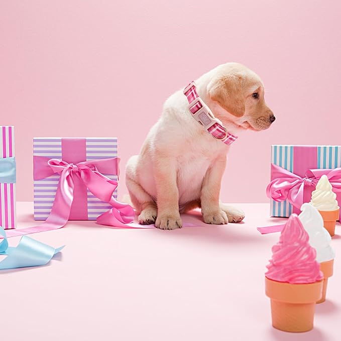 Elegant little tail Dog Collar with Leash, Pink Plaid Pet Collar Leash Adjustable Collar for Small Medium Large Dogs Soft Puppy Collars with Quick Release Buckle Girl Boy Dog Collars