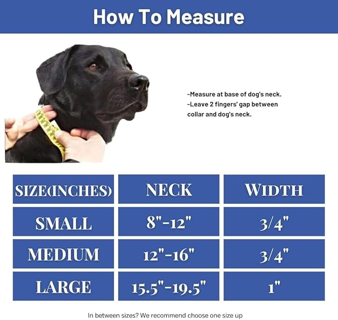 Waterproof Dog Collar, Soft Comfortable Pet Collars, Adjustable Odor Proof Heavy Duty Dog Collars Easy to Clean for Large, Medium Small Dogs by Bee N Buu (Blue, Medium (length12-16, Width 3/4"))