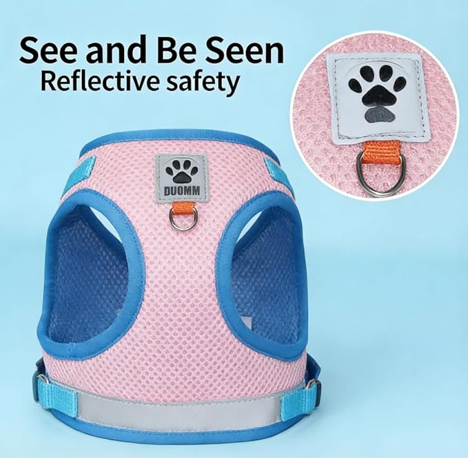 Dog Harness and Leash Set-No Pull No Choke Step-in Pet Harness for All Weather Lightweight Adjustable Cat Harness Breathable Soft Mesh Puppy Vest with Hook & Loop Fastener Buckles D-Rings-Blue+Pink-L