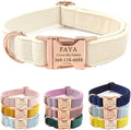 PETDURO Custom Dog Collar Personalized with Name Engraved Quick Release Rose Gold Metal Buckle for Large Medium Small Girl Dogs - Dog Leash and Bow Tie Available - Soft Comfy Velvet (Cream, S)
