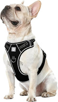 Vest Harness for Dogs - Reflective Adjustable Padding with Easy-On Design & Leash Attachment (M, Black)
