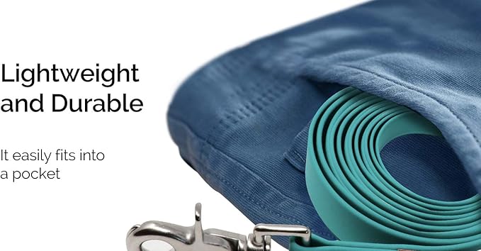 Tiger Tail 4FT Sky Blue Premium Coated Nylon Dog Leash for Large Medium & Small Dogs - Waterproof and Odor Proof, Alternative-Leather Lead | Sky Blue, 4ft