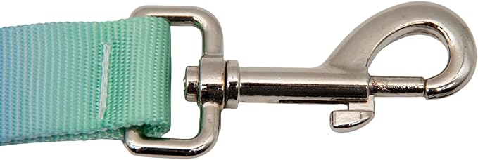 Dual Handles Bungee Dog Leash, Ombré Color Shock-Absorbing Dog Leash with 360° Swivel Clasp, for Small to Medium Dogs (4 – 5.5 ft) (Violet-Green Ombré)