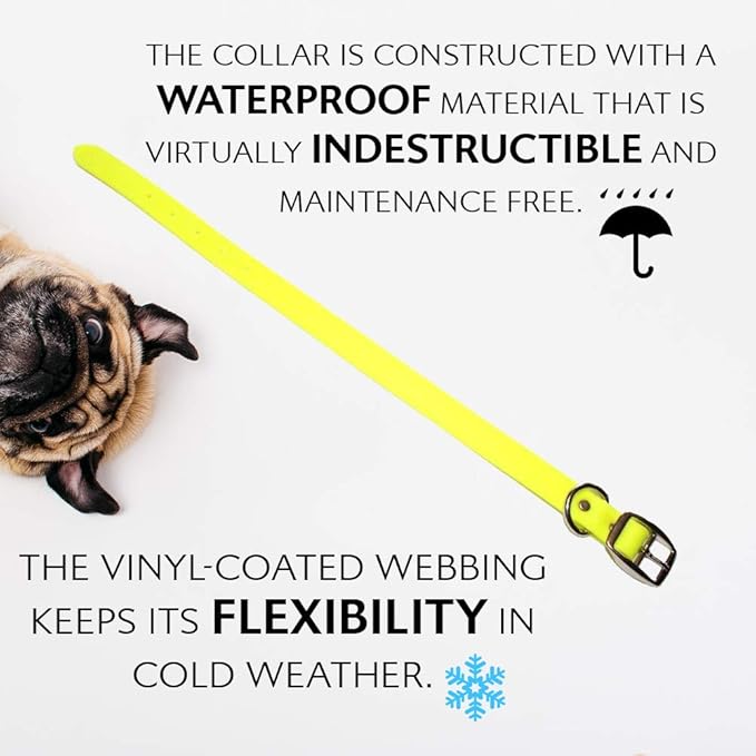 Regal Dog Products Large Yellow with Custom Engraved Waterproof Dog Collar and Leash Set | Waterproof Dog Collar with Double Buckle & D Ring - 5'ft Leash | Matching Dog Collar and Leash for Dogs