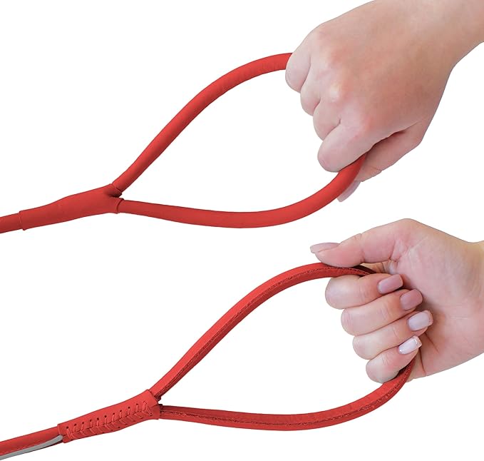 OOPSDOGGY Reflective Rolled Leather Dog Leash 6ft - Soft Training Lead for Small Medium Large Dogs Puppy - Heavy Duty Rope Puppies Leashes for Outdoor Walking Running (Pink, Medium/Large)