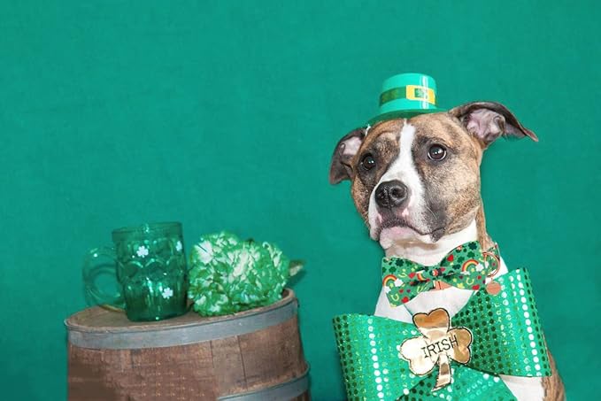 DOGWONG Green Lucky Clover Shamrock Dog Collar with Bowtie, Soft Adjustable St. Patrick's Day Lucky Charm Puppy Collar for Small Medium Large Dog