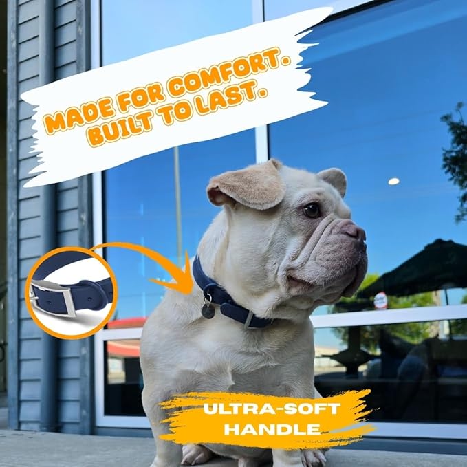 Waterproof Dog Collar, Soft Comfortable Pet Collars, Adjustable Odor Proof Heavy Duty Dog Collars Easy to Clean for Large, Medium Small Dogs by Bee N Buu (Blue, Small (length8-12, Width 3/4"))