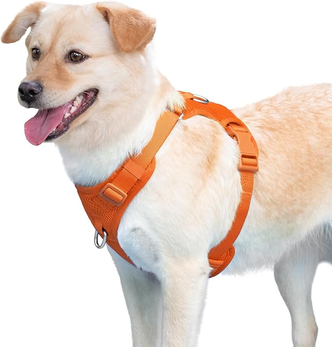 No Pull Dog Harness for Small Medium Large Dogs - Adjustable 2 Layer Mesh Dog Vest with Dual Clip, Escape Proof, Quick Release, Lightweight Breathable Mesh for Walking Hiking (Orange,XL)