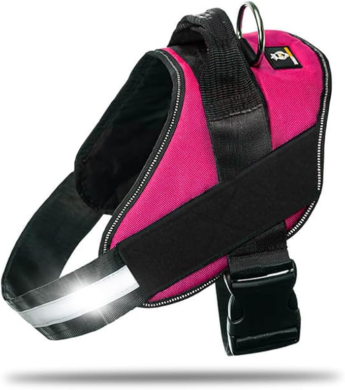 Non Pull Dog Harness with Patch Panels and Handle, Adjustable, Reflective, No Choke, Heavy Duty Easy On Service Dog Vest Harnesses for Medium Large Small Sized Dogs - Rose Red, S