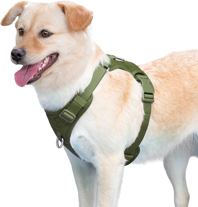 No Pull Dog Harness for Small Medium Large Dogs - Adjustable 2 Layer Mesh Dog Vest with Dual Clip, Escape Proof, Quick Release, Lightweight Breathable Mesh for Walking Hiking (Misty Green,S)