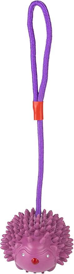 Eco Rubber Chuck & Treat Hedgehog - Purple - Long Lasting Dog Chew Toys for Aggressive Chewers Strong Dog Toy for Dogs Durable Puppy Toys