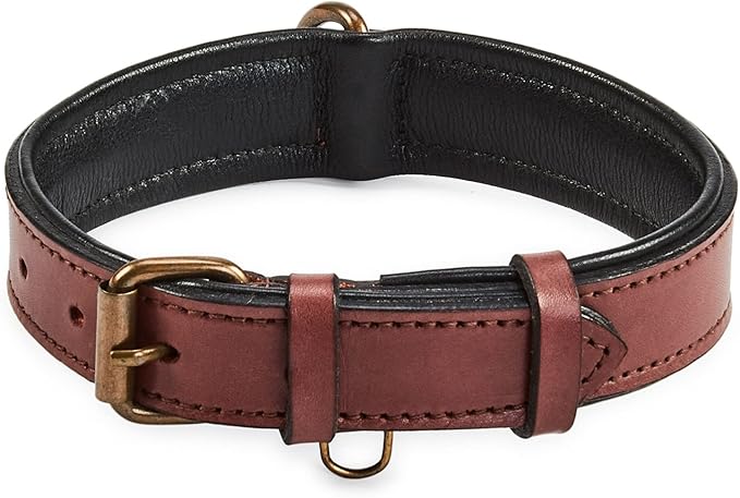 Real Leather Dog Collar Padded Soft Interiors with Premium Vintage Look Handcrafted Heavy Duty with Tag Ring for Small Medium and Large Pets (Medium (1.25" Wide for 13.5" - 17.5" Neck), Oxblood)