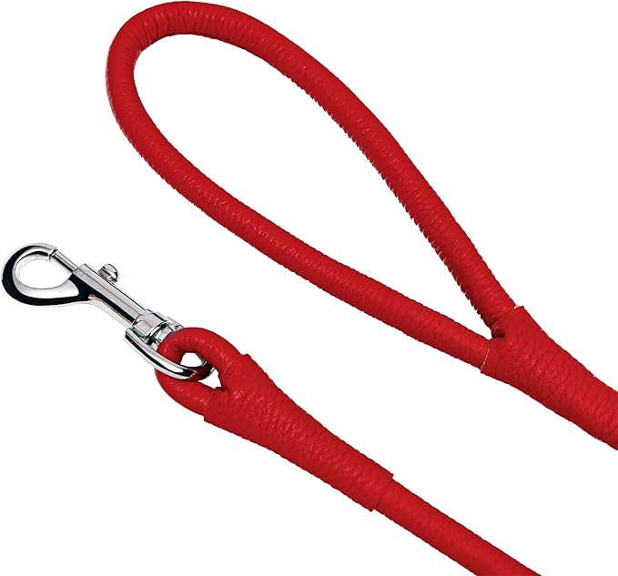 OOPSDOGGY Rolled Leather Dog Lead 6ft Heavy Duty Training Leash for Small Medium Large Dogs & Puppy Black Brown Red (Red, Large)