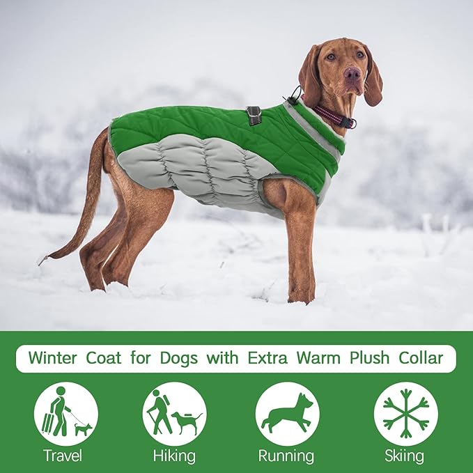 FUAMEY Dog Coat for Small Dogs,Waterproof Dog Winter Jacket with Harness Built in Puppy Cold Weather Coats Reflective Pet Vest with Zipper Warm Fleece Dogs Snowsuit Windproof Green XS