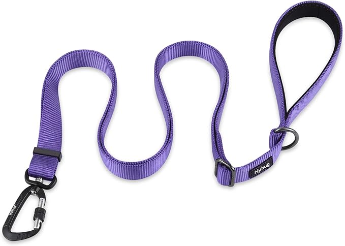 Hyhug Nylon Adjustable 4-6ft Dog Leash with Soft Neoprene Padded Handle, Durable Heavy Duty Leash with Easy-to-Use Bolt Snap, Ideal for Jogging Outdoor