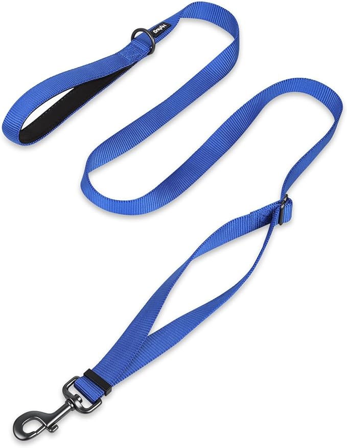 Hyhug Nylon Adjustable 4-6ft Dog Leash with Soft Neoprene Padded Handle, Durable Heavy Duty Leash with Easy-to-Use Bolt Snap, Ideal for Jogging Outdoor