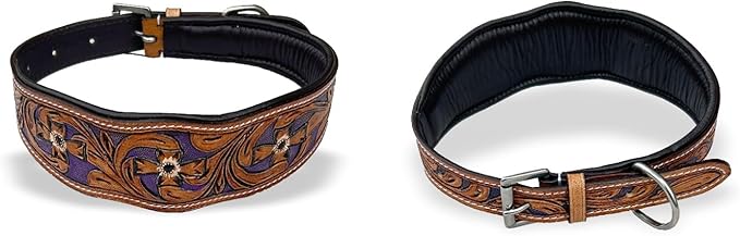 Majestic Ally Leather Dog Collar with Adjustable, Padded Fit for Walking, Hiking, and Running, Designer Western Wear for Puppies, Fancy Colors (Purple - Natural, Medium)