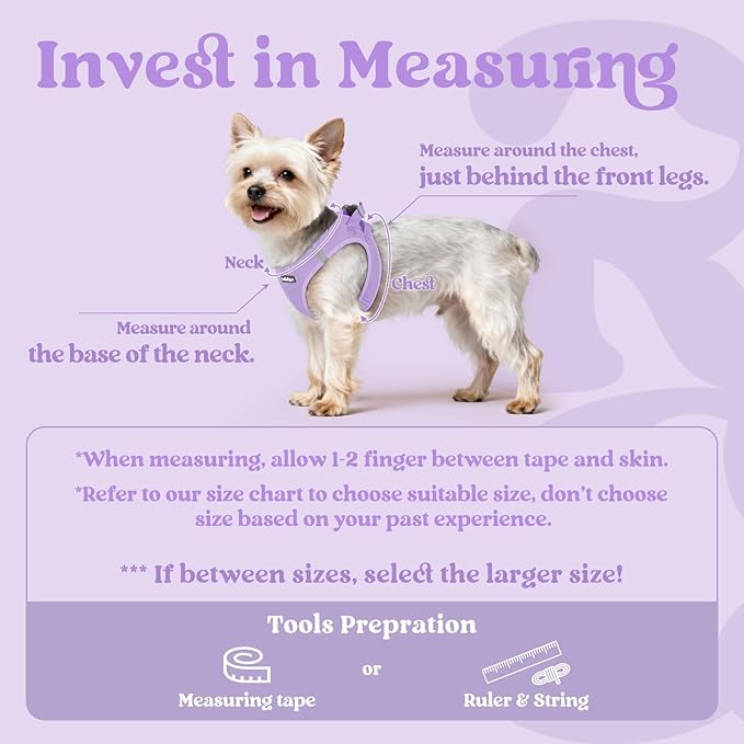 rabbitgoo Small Dog Harness, Step-in Soft Mesh Puppy Vest with Safety Buckle, Breathable Reflective Pet Harness for Extra Small Dogs, Light Purple XXS