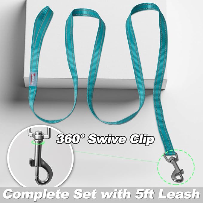 Dog Harness and Leash Set,Step in Small Sized Dog Harness,Soft Mesh,No-Chock,Reflective Adjustable,Secure with Hook & Loop Fastener,Puppy Vest for Small,Medium Dogs(Ocean Blue,XXXS)