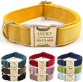 PETDURO Personalized Dog Collar Ginger Soft Velvet for Large Medium Small Boy Girl Dogs - Custom Collar with Name Phone Number Engraved on Gold Metal Buckle - Add Leash Bow Set via Customize Now