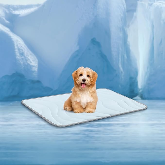 Cozyide Dog Cooling Mat, Medium Cooling Mat for Dogs, Reversible Pad for Pet, 28" L x 22" W, Blue