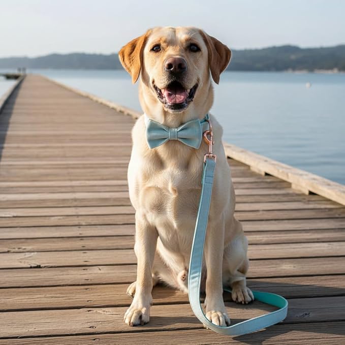 PETDURO Custom Dog Collar Personalized with Name Engraved Quick Release Rose Gold Metal Buckle for Large Medium Small Girl Dogs - Dog Leash and Bow Tie Available - Soft Comfy Velvet (Mint Blue, L)