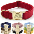 PETDURO Custom Dog Collar Personalized with Name Engraved Quick Release Rose Gold Metal Buckle for Large Medium Small Girl Dogs - Dog Leash and Bow Tie Available - Soft Comfy Velvet (Red, XL)