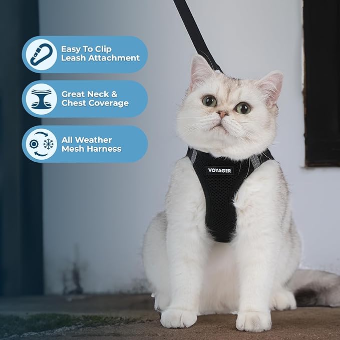 Voyager Step-in Pet Harness - All Weather Mesh, Adjustable Step in Harness for Cats and Dogs by Best Pet Supplies - 307S Black, M