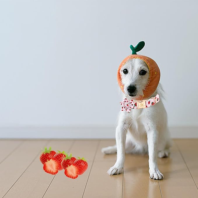 Elegant little tail Dog Collar with Flower, Strawberry Print Pet Collar Flower Pet Collars Summer Cute Adjustable Dog Collars for X-Small Dogs