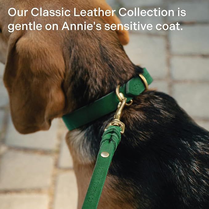 Scout Supply Classic Leather Dog Leash | Strong Heavy Duty Thick Full Grain Leather | Waterproof & Rust-Proof Brass Hardware (Green, L: 4.5 ft x 2/3 in)