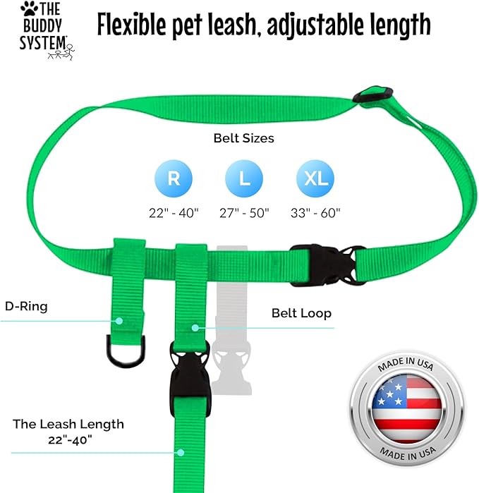 The Buddy System Hands Free Dog Leash, Adjustable Leash for Running, Jogging, Training and Service Dogs, Great for Small, Medium and Large Dogs, Made in USA (Green, Regular Belt (22"- 40" Waist))