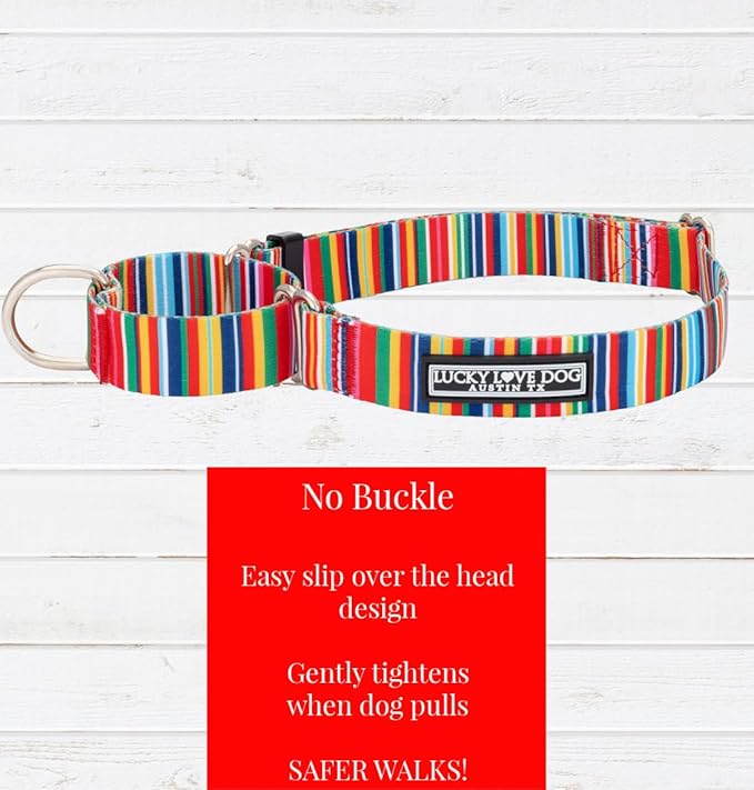 Lucky Love Dog Martingale Dog Collar - Adjustable, No-Slip, Durable, & Soft Webbing Collar for Male and Female Dogs Ideal for Training & Walking - Hippie, Small