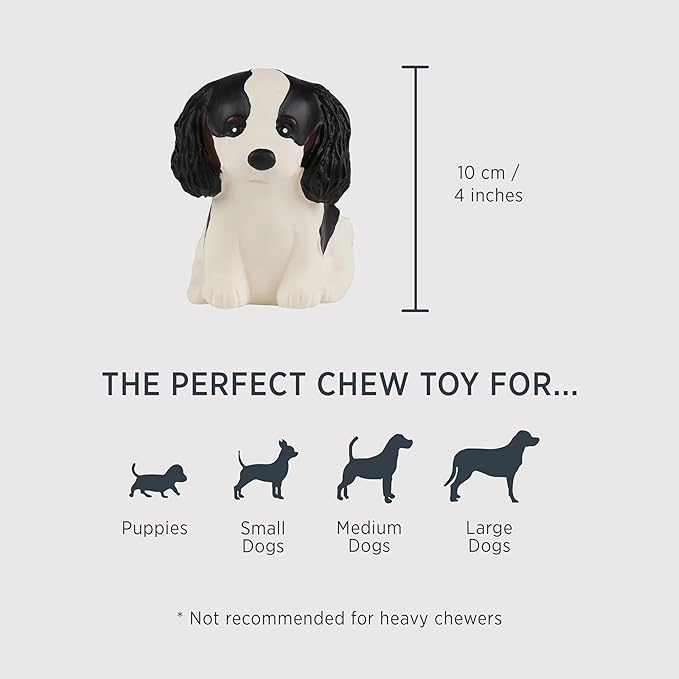 Hevea Cavalier King Charles Breed Collection Dog Chew Toy - Natural Rubber Teething Toy for Puppies, Small, Medium and Large Dogs - Sore Gum Relief & Keeps Dogs Busy