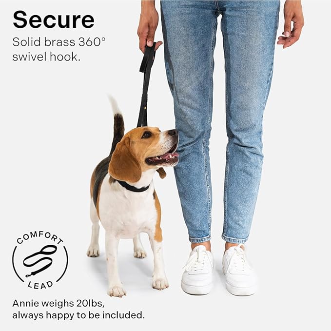 Scout Supply Classic Leather Dog Leash | Strong Heavy Duty Thick Full Grain Leather | Waterproof & Rust-Proof Brass Hardware (Black, L: 4.5 ft x 2/3 in)